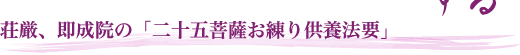 A@́u\ܕF苟{@vv